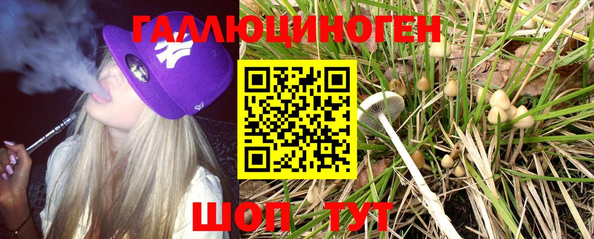 Галлюциногенные грибы Magic Shrooms Балашиха