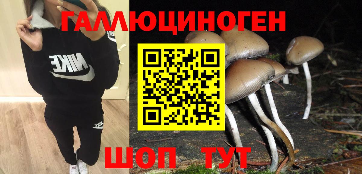 Балашиха  Галлюциногенные грибы Psilocybine cubensis  Вход с VPN 